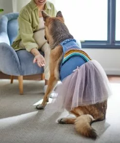 Frisco Rainbow Denim Dog & Cat Dress -Pet Food Gear Shop 312144 PT8. SY630 V1644527534