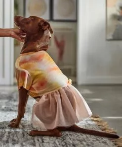 Frisco Tie Dye Pink Tutu Dog & Cat Dress 13 Frisco Tie Dye Pink Tutu Dog & Cat Dress -Pet Food Gear Shop 312152 PT8. SY630 V1644528801