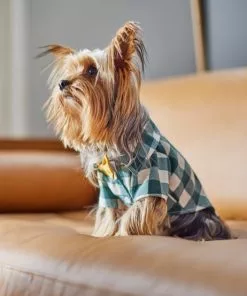 Frisco Boho Plaid Dog & Cat Shirt -Pet Food Gear Shop 312184 PT8. SY630 V1644524330