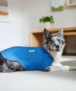 Frisco Chambray Pineapple Dog & Cat Shirt -Pet Food Gear Shop 312192 PT8. SY630 V1644526681