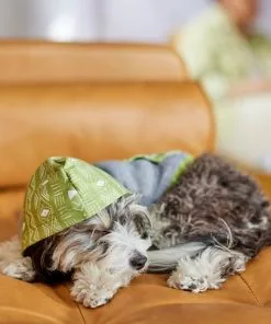 Frisco Green Southwest Dog & Cat Hoodie 15 Frisco Green Southwest Dog & Cat Hoodie -Pet Food Gear Shop 312248 PT8. SY630 V1644883113