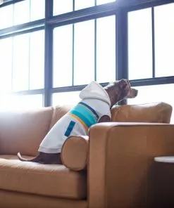 Frisco Striped Grey Dog & Cat Hoodie -Pet Food Gear Shop 312264 PT8. SY630 V1644880135