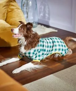 Frisco Boho Gingham Dog & Cat PJs -Pet Food Gear Shop 312272 PT8. SY630 V1644880063