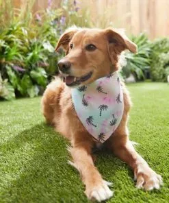 Frisco Palm Tree Dog & Cat Bandana -Pet Food Gear Shop 312291 PT8. SY630 V1644881007