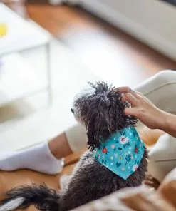 Frisco Spring Floral Dog & Cat Bandana -Pet Food Gear Shop 312294 PT8. SY630 V1644881583