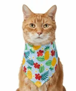 Frisco Hawaiian Pineapple Dog & Cat Bandana -Pet Food Gear Shop 312300 PT2. SY630 V1644878643