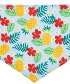 Frisco Hawaiian Pineapple Dog & Cat Bandana -Pet Food Gear Shop 312300 PT4. SY630 V1644880316
