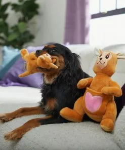 Frisco Kangaroo & Joey Plush Squeaky Dog Toy, 2 count 9 Frisco Kangaroo & Joey Plush Squeaky Dog Toy, 2 count -Pet Food Gear Shop 312899 PT3. SY630 V1638987688