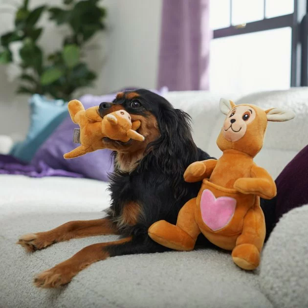 Frisco Kangaroo & Joey Plush Squeaky Dog Toy, 2 count 6 Frisco Kangaroo & Joey Plush Squeaky Dog Toy, 2 count - Image 4