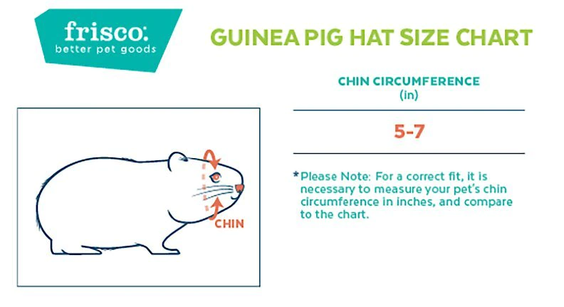 Frisco Happy Birthday Guinea Pig Hat 4 Frisco Happy Birthday Guinea Pig Hat - Image 2