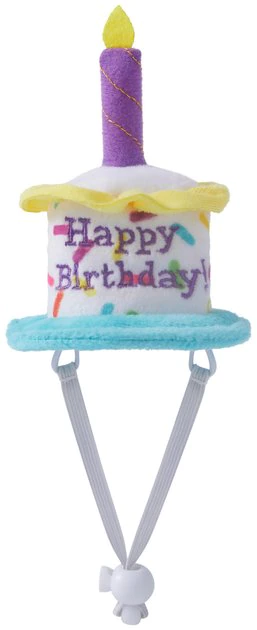 Frisco Happy Birthday Guinea Pig Hat 5 Frisco Happy Birthday Guinea Pig Hat - Image 3