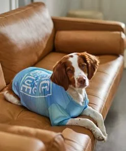 Frisco Peace Love Rescue Dog & Cat T-Shirt -Pet Food Gear Shop 315067 PT8. SY630 V1646349423