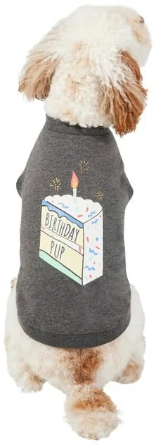 Frisco Birthday Pup Dog & Cat T-Shirt 3 Frisco Birthday Pup Dog & Cat T-Shirt