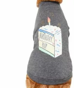 Frisco Birthday Pup Dog & Cat T-Shirt 10 Frisco Birthday Pup Dog & Cat T-Shirt -Pet Food Gear Shop 315075 PT2. SY630 V1646438857