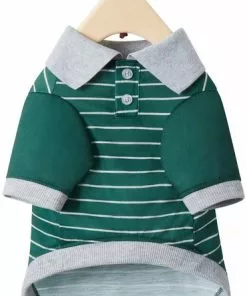 Frisco Green Rugby Dog & Cat Polo Shirt -Pet Food Gear Shop 315083 PT5. SY630 V1646437428
