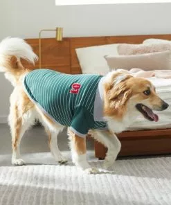 Frisco Green Rugby Dog & Cat Polo Shirt -Pet Food Gear Shop 315083 PT8. SY630 V1646437999