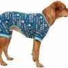 Frisco Celebration Dog & Cat PJs
