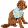 Frisco Birthday Pup Dog & Cat Bandana -Pet Food Gear Shop 315130 MAIN. SY630 V1646437330