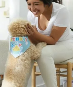 Frisco Birthday Pup Dog & Cat Bandana -Pet Food Gear Shop 315130 PT8. SY630 V1646434068