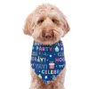 Frisco Celebration Dog & Cat Bandana