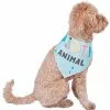 Frisco Party Animal Dog & Cat Bandana