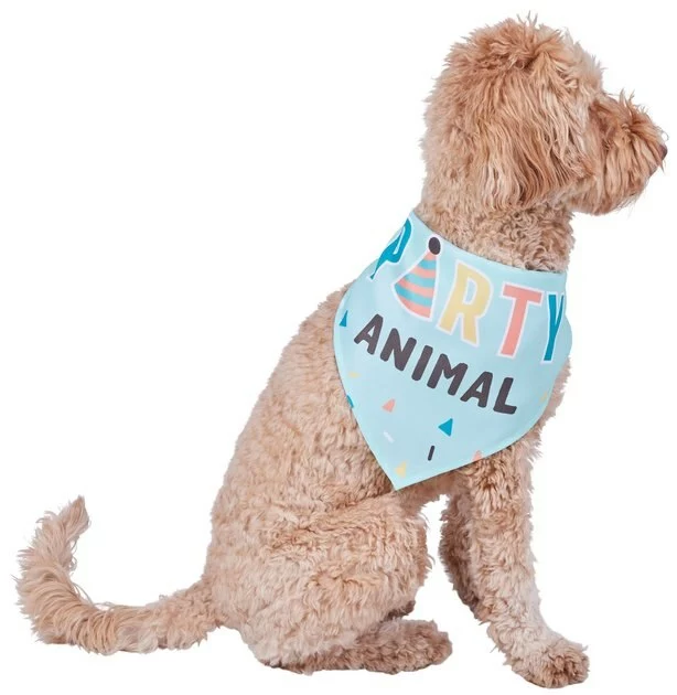 Frisco Party Animal Dog & Cat Bandana 3 Frisco Party Animal Dog & Cat Bandana