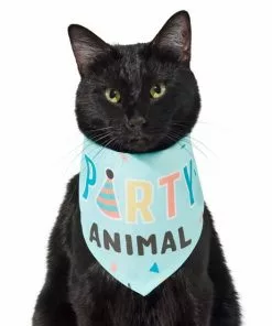 Frisco Party Animal Dog & Cat Bandana 10 Frisco Party Animal Dog & Cat Bandana -Pet Food Gear Shop 315136 PT2. SY630 V1646438016