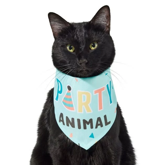 Frisco Party Animal Dog & Cat Bandana 5 Frisco Party Animal Dog & Cat Bandana - Image 3