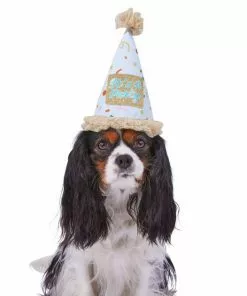 Frisco It's a Party Animal Dog & Cat Hat -Pet Food Gear Shop 315139 PT2. SY630 V1646439434