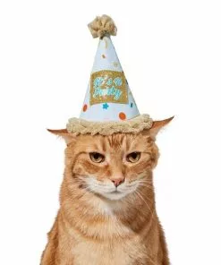 Frisco It's a Party Animal Dog & Cat Hat -Pet Food Gear Shop 315139 PT3. SY630 V1646434023