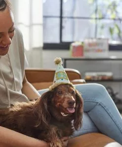 Frisco It's a Party Animal Dog & Cat Hat -Pet Food Gear Shop 315139 PT8. SY630 V1646435317