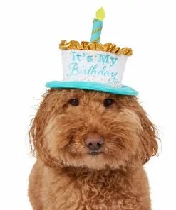 Frisco It's My Birthday Dog & Cat Hat -Pet Food Gear Shop 315142 PT2. SY630 V1646436466