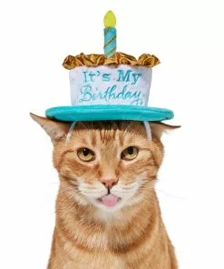 Frisco It's My Birthday Dog & Cat Hat -Pet Food Gear Shop 315142 PT3. SY630 V1646437287