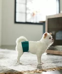 Frisco Washable Male Wrap, Whales, 3pk -Pet Food Gear Shop 315706 PT3. SY630 V1644882254