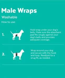 Frisco Washable Male Wrap, Whales, 3pk -Pet Food Gear Shop 315706 PT4. SY630 V1644880016