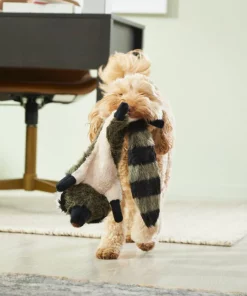 Frisco Fur Really Real Raccoon Plush Squeaky Dog Toy 7 Frisco Fur Really Real Raccoon Plush Squeaky Dog Toy -Pet Food Gear Shop 316925 PT2. SY630 V1641400901