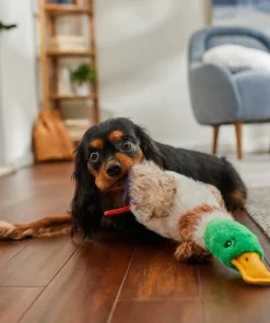 Frisco Fur Really Real Mallard Plush Squeaky Dog Toy -Pet Food Gear Shop 316927 PT2. SY630 V1641400912