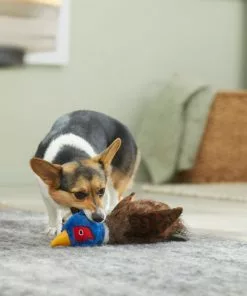 Frisco Fur Really Real Pheasant Plush Squeaky Dog Toy -Pet Food Gear Shop 316931 PT2. SY630 V1641400893