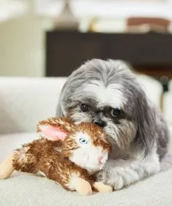 Frisco Realistic Plush Rabbit Plush Dog Toy -Pet Food Gear Shop 316933 PT2. SY630 V1641400634