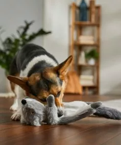 Frisco Fur Really Real Squirrel Plush Laying Squeaky Dog Toy -Pet Food Gear Shop 316935 PT2. SY630 V1641400940