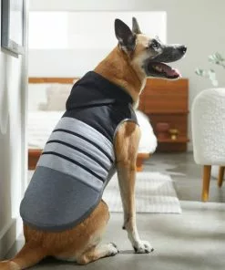 Frisco Gray Striped Dog & Cat Hoodie 15 Frisco Gray Striped Dog & Cat Hoodie -Pet Food Gear Shop 317304 PT8. SY630 V1646439798