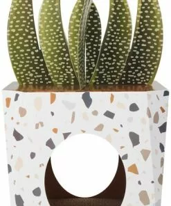 Frisco Potted Succulent Cardboard Cat House -Pet Food Gear Shop 317723 PT2. SY630 V1642088638