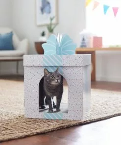 Frisco Birthday Gift Box Cardboard Cat House 9 Frisco Birthday Gift Box Cardboard Cat House -Pet Food Gear Shop 317727 PT3. SY630 V1642099343