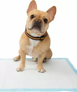 Frisco 4-Panel Plastic Exercise Playpen, White + Dog Training & Potty Pads, 22 x 23-in, 150 count, Unscented -Pet Food Gear Shop 318960 PT8. SY630 V1630366595