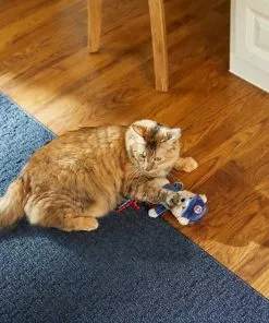 Frisco||Pets First Frisco Baseball Bear Plush and Crinkle Kicker Toy + Pets First Chicago Cubs Baseball Cat Scratcher Toy with Catnip -Pet Food Gear Shop 318986 PT3. SY630 V1630363596