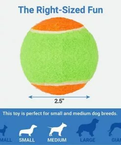 Frisco||Playology Frisco Fetch Squeaking Colorful Tennis Ball, 3-Pack + Playology All Natural Dual Layer Bone Dog Toy, Large, Peanut Butter Scented -Pet Food Gear Shop 319022 PT2. SY630 V1630557070