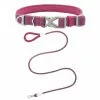 Frisco Outdoor Comfort Print Nylon Padded Collar, Large, Neck: 18 -26-in, Width: 1-in + Outdoor Ultra Reflective Rope Leash With Padded Handle, Boysenberry Purple, 6 - ft -Pet Food Gear Shop 319070 MAIN. SY630 V1631139670
