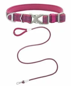 Frisco Outdoor Comfort Print Nylon Padded Collar, Large, Neck: 18 -26-in, Width: 1-in + Outdoor Ultra Reflective Rope Leash With Padded Handle, Boysenberry Purple, 6 - ft