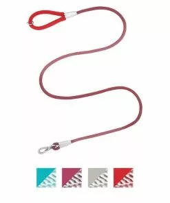 Frisco Outdoor Comfort Print Nylon Padded Collar, Large, Neck: 18 -26-in, Width: 1-in + Outdoor Ultra Reflective Rope Leash With Padded Handle, Sunset Orange, 6 - ft -Pet Food Gear Shop 319074 PT5. SY630 V1631149611