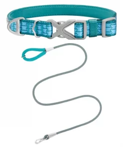 Frisco Outdoor Comfort Print Nylon Padded Collar, Medium - Neck: 14-20-in, Width: 3/4-in + Outdoor Ultra Reflective Rope Leash With Padded Handle, Bayou Teal, 6 - ft